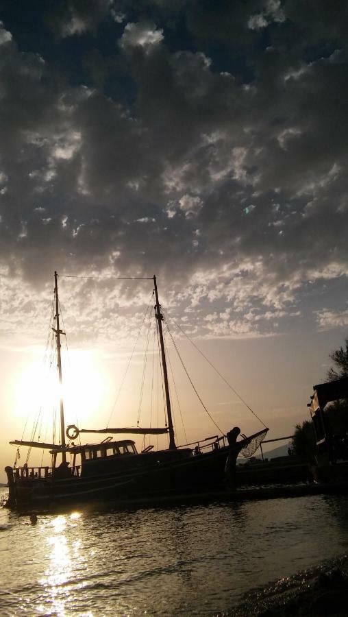 Studioapartman Loris Vodice